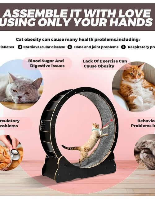 Load image into Gallery viewer, Cat Exercise Wheel for Indoor Cats Pets Easy Assembled Cat Treadmill Wheel with Locking Process and Laser Cat Toy Pet Supplies
