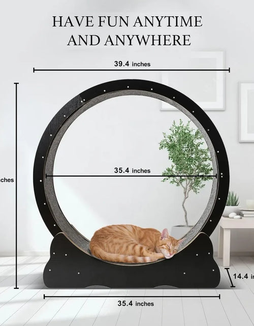 Load image into Gallery viewer, Cat Exercise Wheel for Indoor Cats Pets Easy Assembled Cat Treadmill Wheel with Locking Process and Laser Cat Toy Pet Supplies
